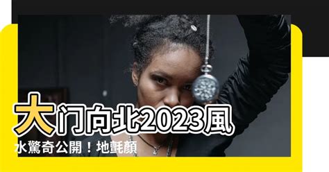 2023 地氈顏色